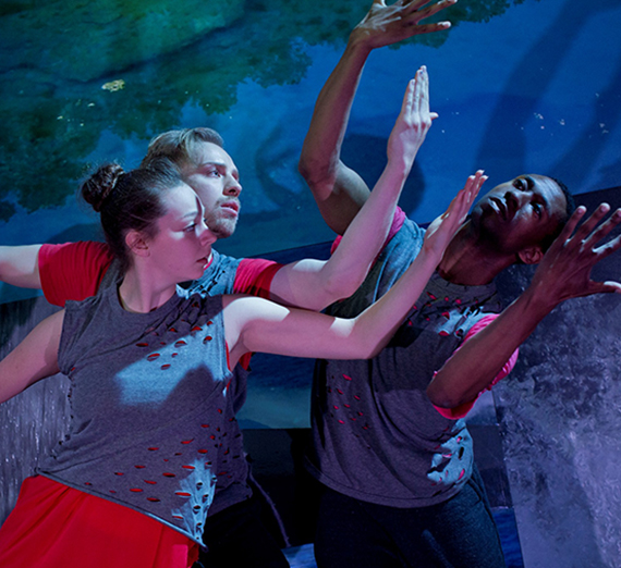 곤자가 졸업예정자 타리아 프라우스토